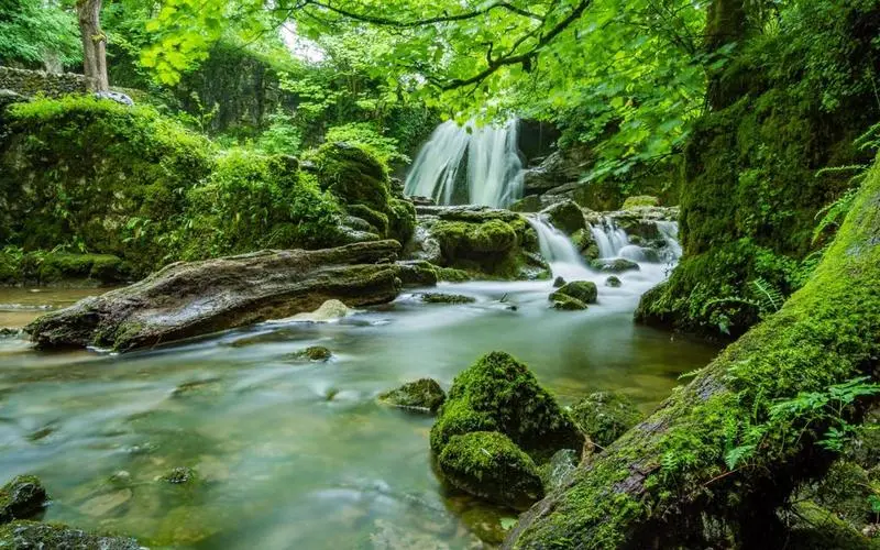 智能高标准科技